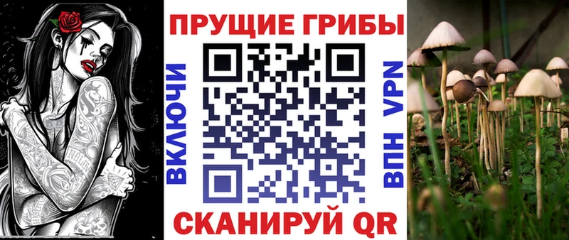 Псилоцибиновые грибы GOLDEN TEACHER  Среднеколымск 